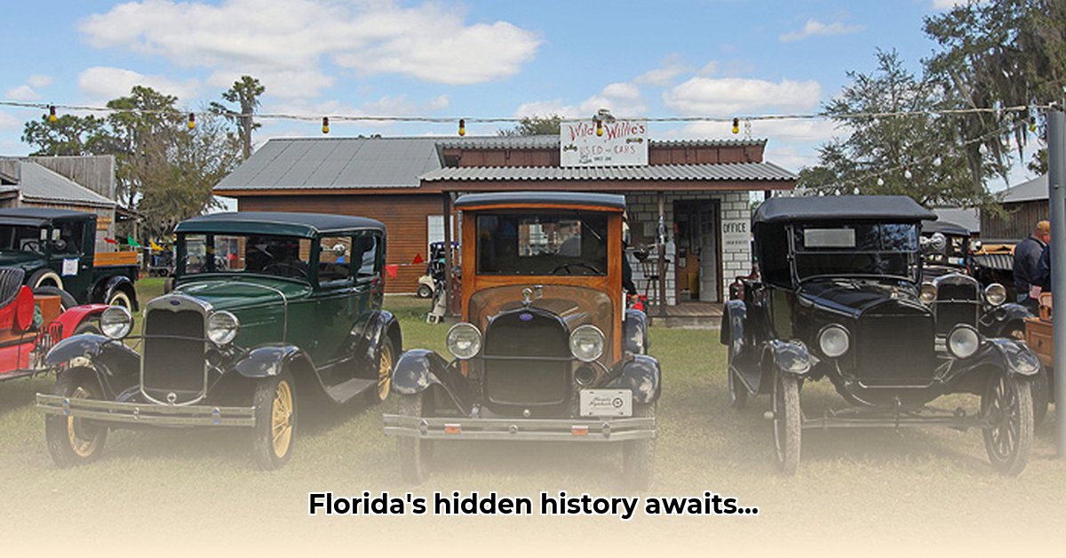 florida-flywheelers-tractor-show